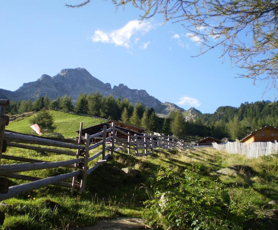 Im Weissen Schloessl Friedemann Appartement Rasùn di Sotto Buitenkant foto